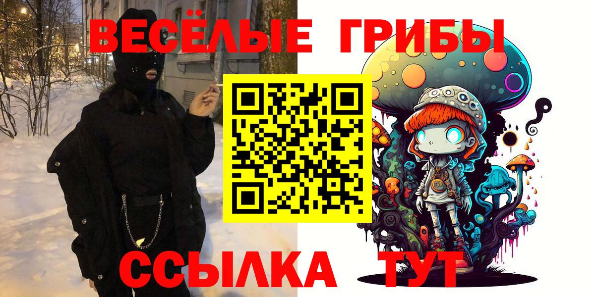 Псилоцибиновые грибы Psilocybe Владикавказ